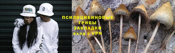 бутират Покров