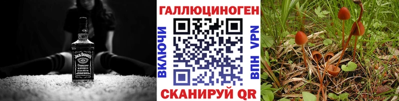 Галлюциногенные грибы мицелий  Киржач 