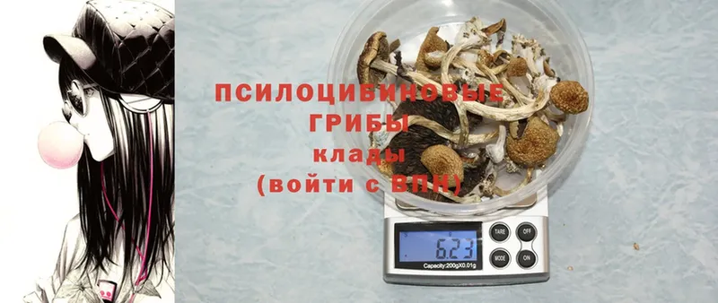 Галлюциногенные грибы Magic Shrooms  Киржач 